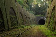 an abandoned railway in paris with tracks going through it and trees growing on the walls