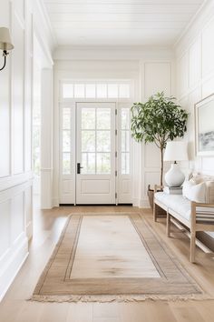 a living room filled with furniture and a potted plant on top of a rug