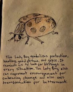 a piece of paper with a drawing of a lady bug on it's side