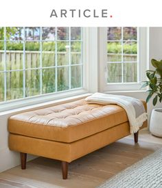 a couch sitting in front of a window next to a rug and potted plant