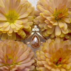 a close up of some flowers with a ring on it's middle one is surrounded by smaller yellow and orange flowers