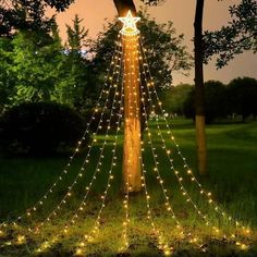 a tree with lights hanging from it's branches in the park at night time