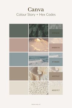 the color scheme for canva is shown in shades of brown, beige and green