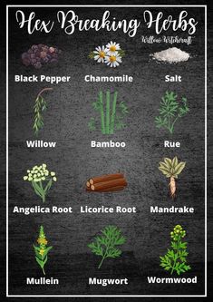 Flowers In Witchcraft, Jinxes Witchcraft, Hex Herbs Witchcraft, Herb Meanings Witchcraft, Hex Breaking Herbs, Witchcraft Herbs Meanings, Pine Needles Witchcraft, Herbology Witchcraft, Witchcraft Plants