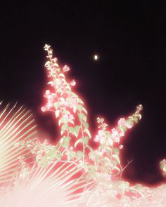 some lights that are on the side of a building and palm trees in the foreground