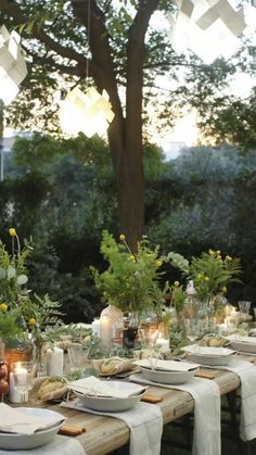 a long table set with plates and place settings for an outdoor dinner in the woods