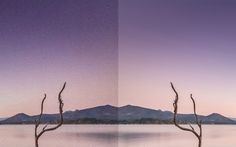 two different views of a lake with mountains in the background and one tree without leaves