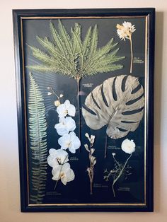 an image of some flowers and plants in a frame