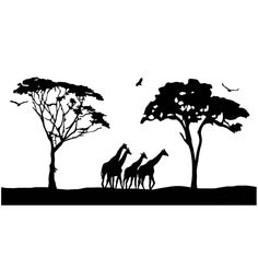 the giraffes are standing in front of trees with birds flying above them