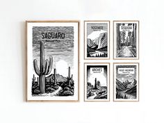 four posters are hanging on the wall in front of a white wall with three cactuses