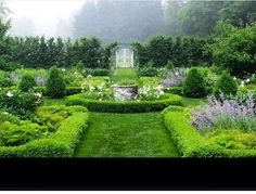 a lush green garden filled with lots of flowers and greenery on a foggy day