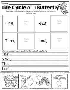 the life cycle of a butterfly worksheet with pictures and words to help students learn how