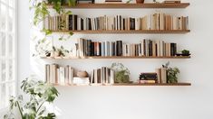 some books and plants are sitting on the shelves