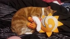 an orange and white cat sleeping on top of a stuffed animal toy with a yellow star