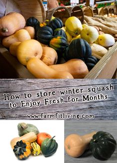 how to store winter squash to enjoy fresh for months