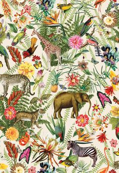 an animal themed wallpaper with many different types of animals