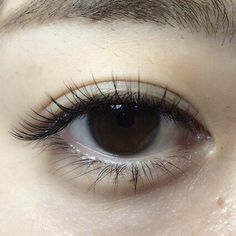 Lash Extentions Asian Eyes, Brow Eyes, Eye Aesthetic, Brown Eyes Aesthetic, Natural Fake Eyelashes, Eyes Aesthetic, Face Brightening, Anime Makeup