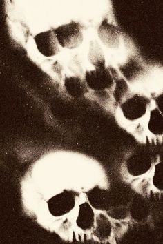 black and white photograph of skulls in the dark