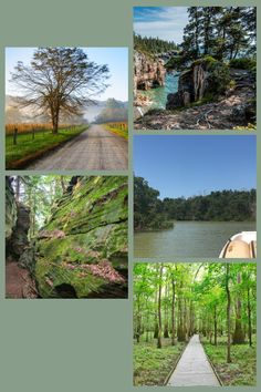 four different pictures with trees and water in the foreground, along with a path leading to a lake