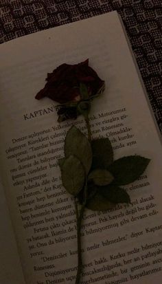 a single red rose sitting on top of an open book