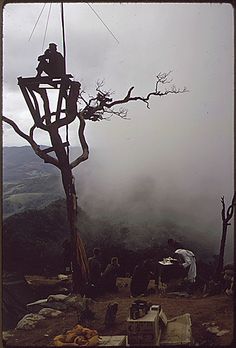 an old fashioned street light in the middle of a foggy mountain area with trees and rocks