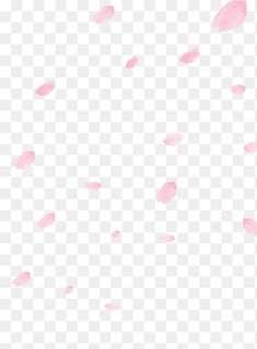 pink petals falling down from the sky on a white background