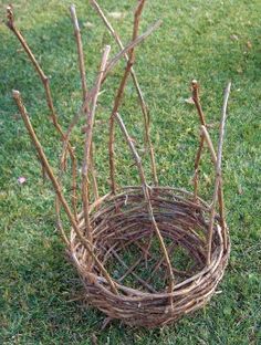 a bird nest made out of twigs in the grass