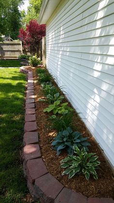 some plants are growing on the side of a house