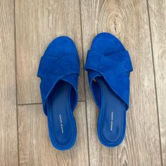 Brand New, Never Worn Mansur Gavriel Shoes. Size 36 Or Us Equivalence Of 6. Originally Around $350 But Selling For $175. No Shoe Box Available Blue Mules With Removable Insole, Blue Suede Slip-on Mules, Blue Flat Heel Sandals With Leather Sole, Blue Sandals With Leather Sole And Flat Heel, Blue Sandals With Flat Leather Sole, Chic Blue Sandals With Leather Sole, Designer Blue Slip-on Sandals, Blue Almond Toe Sandals For Summer, Blue Suede Sandals With Removable Insole