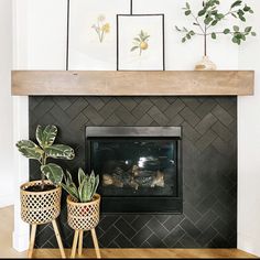 two potted plants sitting on top of a fireplace