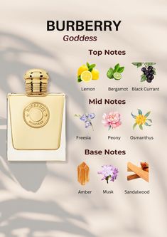 Indulge in the divine allure of Burberry Goddess! Immerse yourself in the refreshing top notes of lemon, bergamot, and black currant, followed by the enchanting mid notes of freesia, peony, and osmanthus. Delight in the lingering base notes of musk, sandalwood, and amber. Elevate your senses with this heavenly fragrance. Click now to captivate your senses and embrace the essence of Burberry Goddess! 🌸✨ #BurberryGoddess #LuxuryPerfume #FragranceNotes #DivineScent Goddess Burberry Perfume, Black Currant Perfume, Burberry Goddess Perfume, Burberry Body Perfume, Perfumes Notes, Freesia Perfume, Bergamot Perfume, Burberry Goddess, My Burberry Black