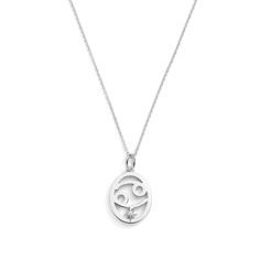 Zodiac Necklaces - a celestial blend of style and symbolism. Crafted with precision, each piece represents the unique traits of your zodiac sign. Available in silver and gold finishes, these necklaces aren't just accessories; they're personal talismans. Elevate your everyday look or gift a special someone with the stars' elegance. Silver Zodiac Sign Charm Necklace, Sterling Silver Zodiac Sign Charm Pendant Necklace, Sterling Silver Zodiac Sign Pendant Necklace, Symbolic Zodiac Sign Pendant Necklace, Sterling Silver Zodiac Sign Pendant Charm Necklaces, Silver Sterling Zodiac Sign Charm Necklace, Symbolic Zodiac Sign Round Pendant Charm Necklaces, Silver Zodiac Sign Medallion Jewelry, Silver Zodiac Sign Pendant Necklace