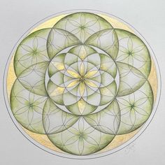 a drawing of a flower in the middle of a circle with yellow and green petals