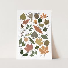 a card with different leaves on it