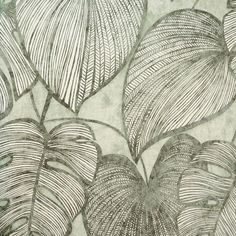 Sample Monstera Wallpaper in Olive Sage Monstera Leaf Wallpaper, Monstera Wallpaper, Heart Projects, A Wallpaper, Leaf Wallpaper, Breath Of Fresh Air, Burke Decor, Monstera Leaf, Green Wallpaper