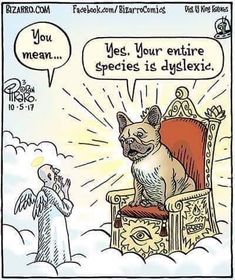 a cartoon depicting a dog sitting in a chair with an angel next to it, and the caption ` ` yes your entire species is dysyclexix '