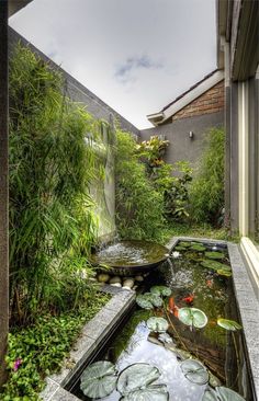 an outdoor pond with water lilies and plants surrounding it in a courtyard area next to a building