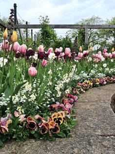 many different colored flowers in a garden