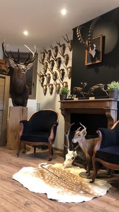 a living room with deer heads mounted on the wall and two chairs in front of it