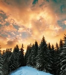 the sun is setting over some snow covered trees