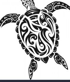 a black and white drawing of a turtle with intricate designs on it's back