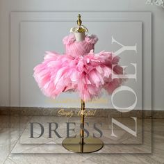 Zoey knee length feather dress in color petal pink Breathtaking pink feathers and countless pink blooms cascade to the floor in this exquisite pink feather dress. The Angel gown features a pleated bodice and handmade pink flowers on each shoulder, making it a perfect choice for any special occasion. From flower girls at weddings to enchanting first birthday princess dresses, make your angel stand out from the crowd with stunning Zoey feather dress in color petal pink. Ships within 3 - 4 Weeks Ne Elegant Pink Fairy Dress For Party, Pink Gown For Fancy Dress In Spring, Pink Ruffled Gown For Fancy Dress, Pink Gown For Spring Fancy Dress, Pink Sleeveless Gown For Fancy Dress, Spring Pink Gown For Fancy Dress Events, Elegant Pink Gown For Dress-up, Elegant Fitted Pink Fairy Dress, Elegant Pink Pageant Dress For Party