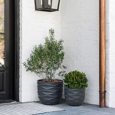 two potted plants are sitting on the front porch next to a black door and light fixture