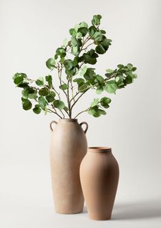 two vases with green leaves in them on a white background, one is empty