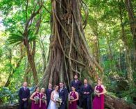 a group of people standing in front of a tree