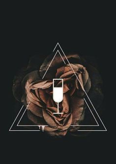 an image of a rose with a light bulb in it's center on a black background