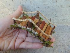 a hand holding a piece of wood with moss growing on it and rope attached to it