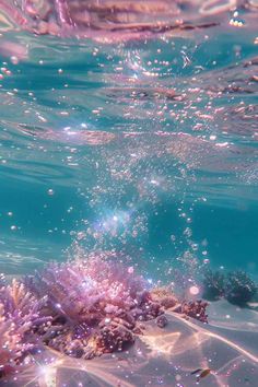 an underwater view of some corals in the water