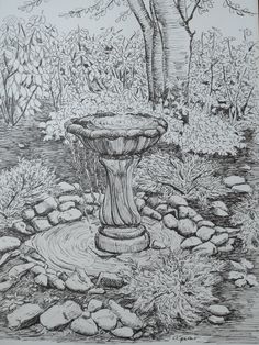 a pencil drawing of a fountain in the middle of a garden with rocks and trees