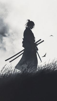 the silhouette of a person with two swords in their hands, walking through tall grass